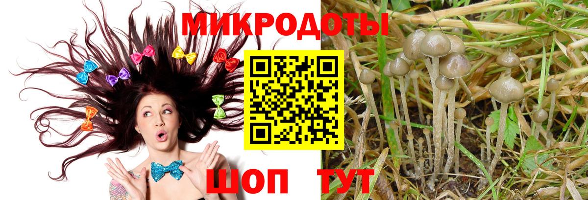 Псилоцибиновые грибы Psilocybine cubensis Верхний Уфалей